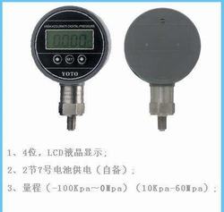 “保定數顯壓力表模塊“/